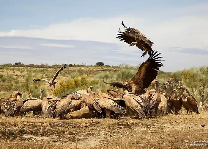 Canteras Country house