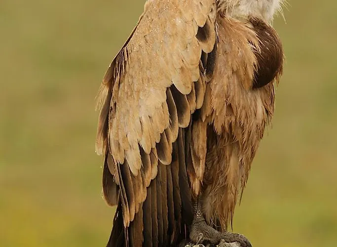 Country house Canteras Trujillo